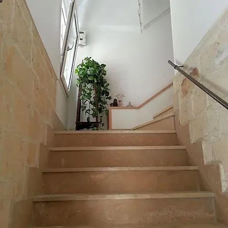 B&B Df 4*