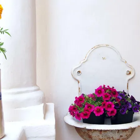 Df Bed and breakfast